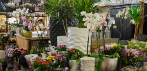 Kleinmarkthalle Frankfurt HFM